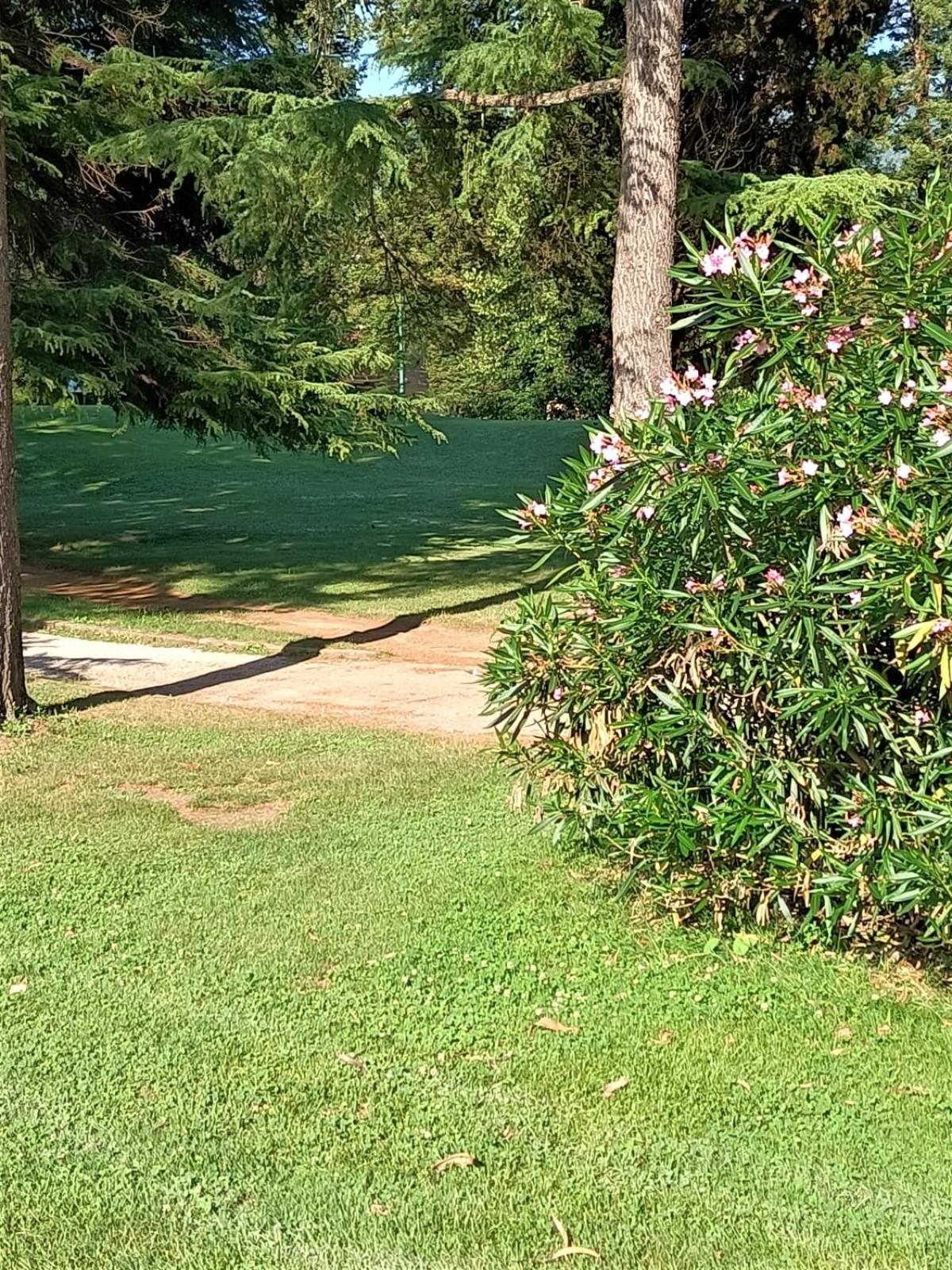 Fronte Del Golf Lejlighed Rapallo Eksteriør billede