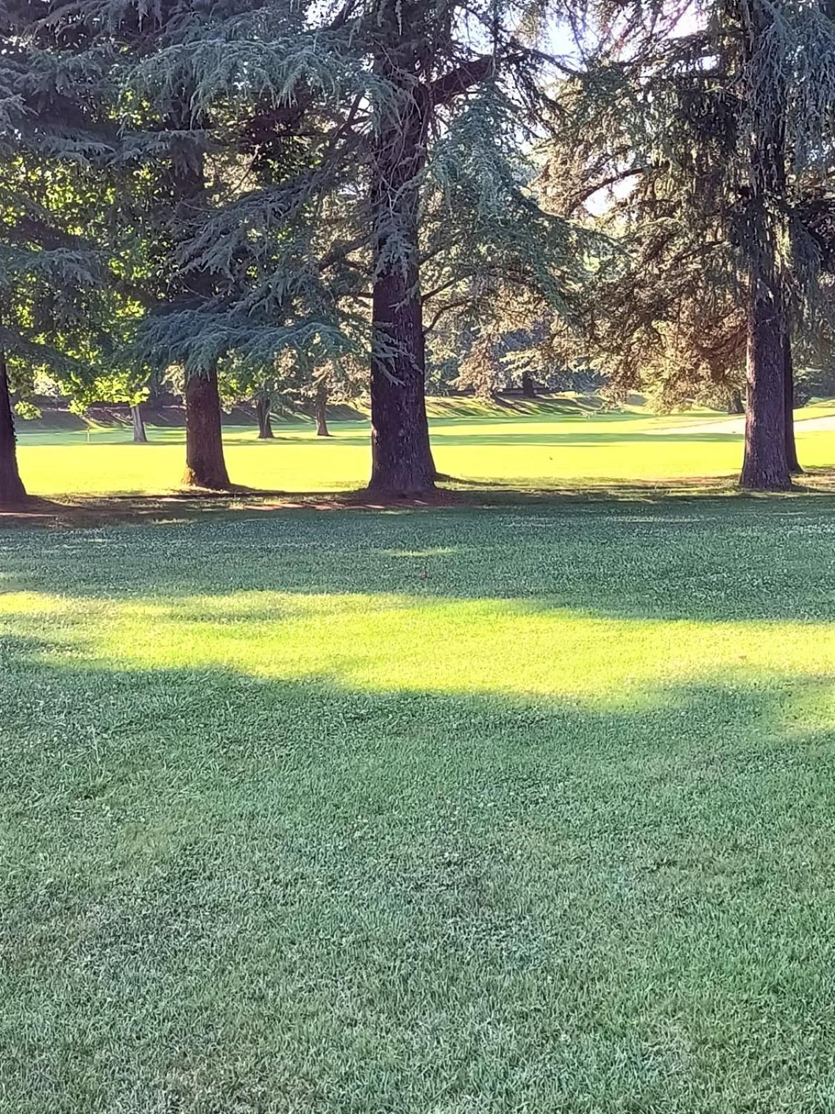 Fronte Del Golf Lejlighed Rapallo Eksteriør billede