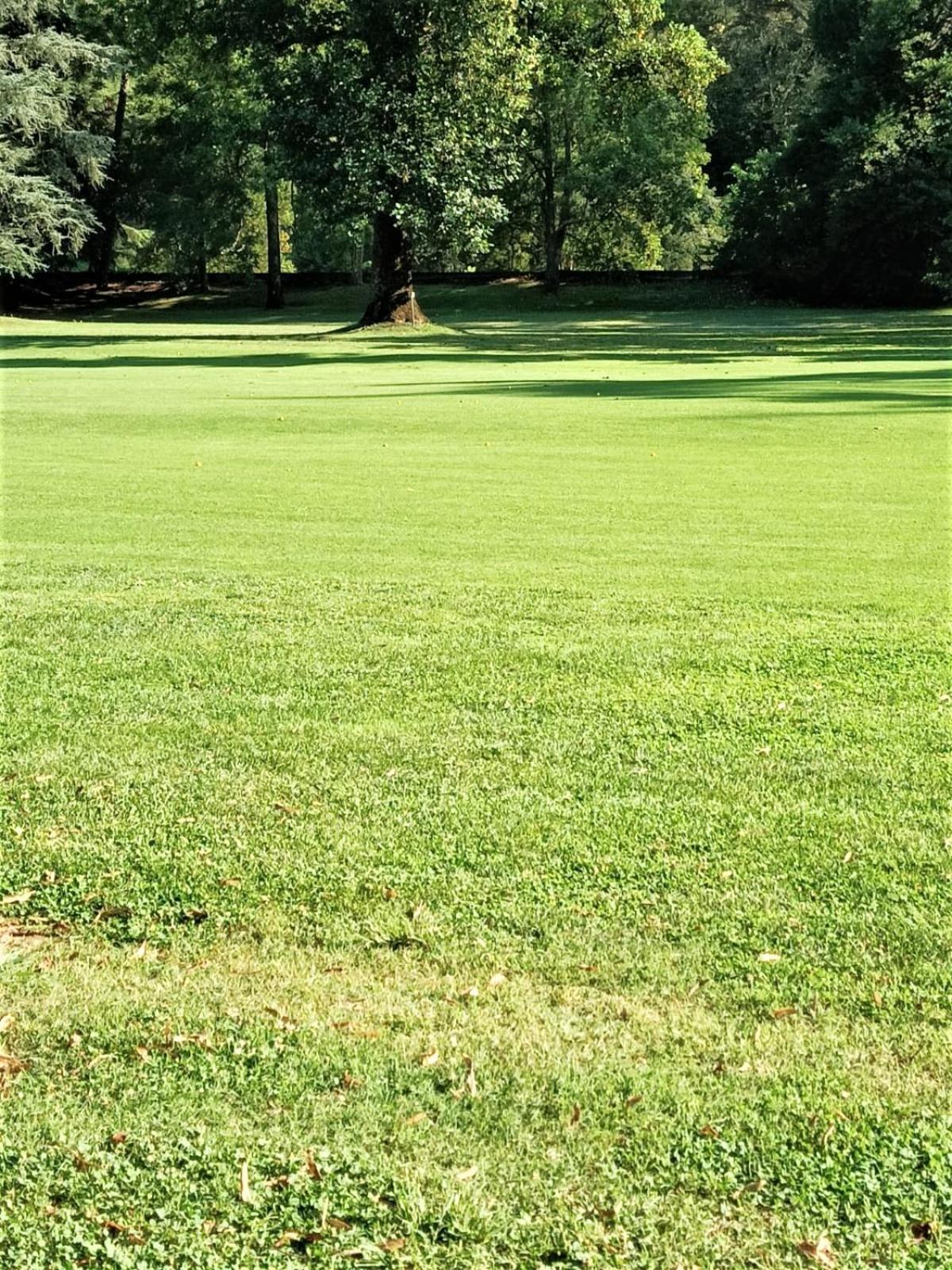 Fronte Del Golf Lejlighed Rapallo Eksteriør billede